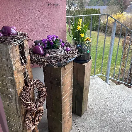 Alte Harcher Schule Guest house *